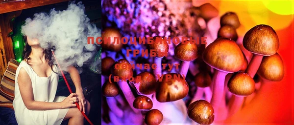 Альфа ПВП Алексеевка