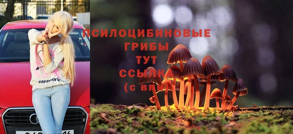 прущая мука Алзамай