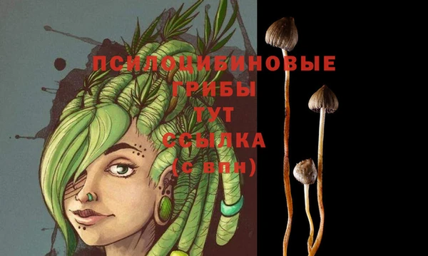 эйфоретик Абдулино